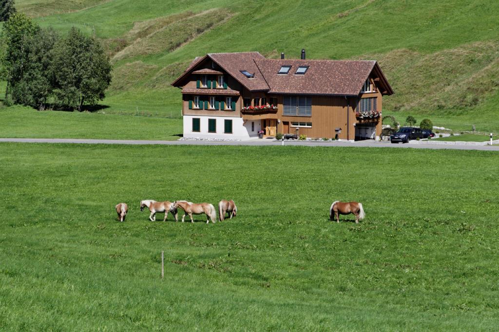 Haflingerhof Fruhboden Villa Egg Buitenkant foto