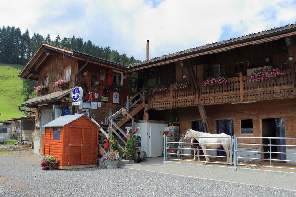 Haflingerhof Fruhboden Villa Egg Buitenkant foto