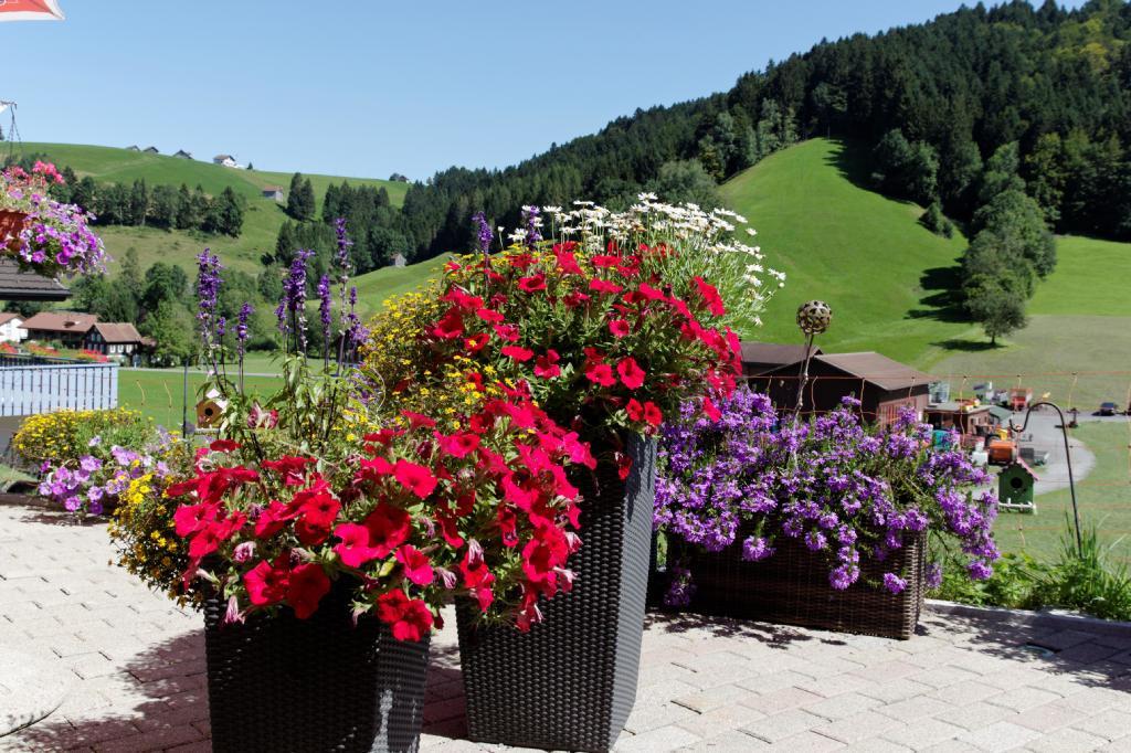 Haflingerhof Fruhboden Villa Egg Buitenkant foto