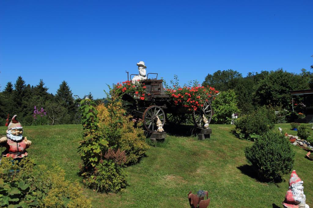 Haflingerhof Fruhboden Villa Egg Buitenkant foto