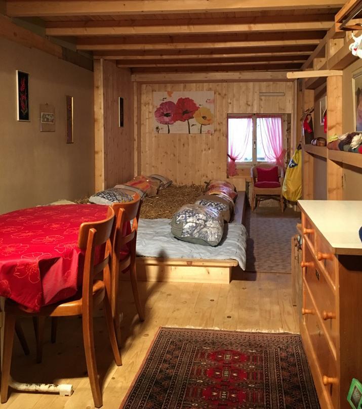 Haflingerhof Fruhboden Villa Egg Buitenkant foto